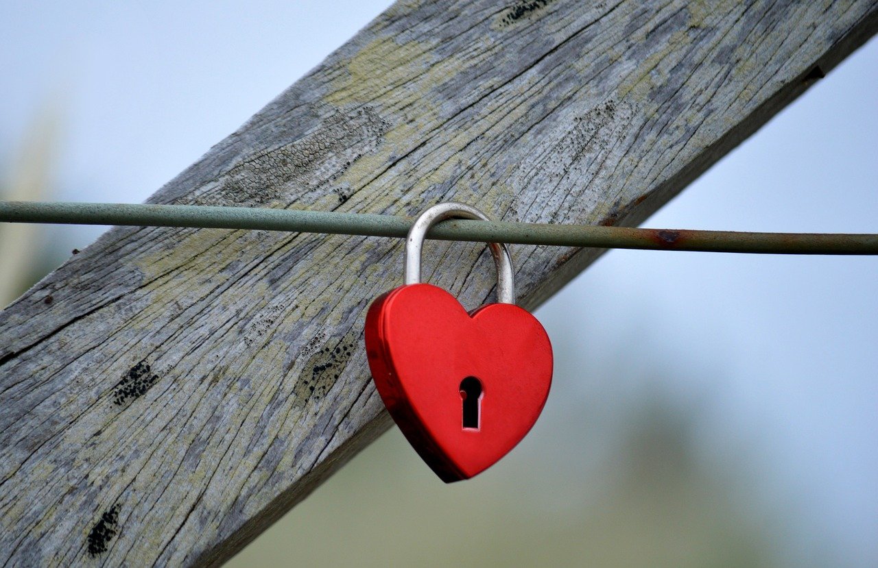 Dynamic adds embedded wallet infrastructure to TON for Telegram apps